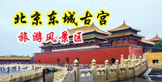 男人考女人逼视频网站上中国北京-东城古宫旅游风景区